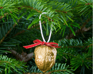 Altitude 500 : le bon compte des sapins