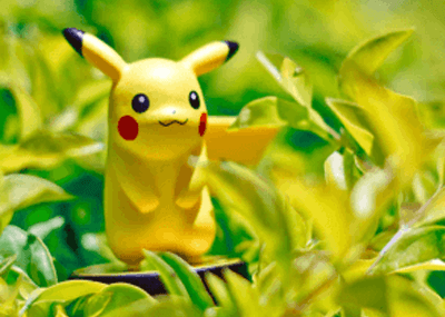 Pokemon Pokemon