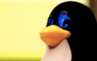 Linux, 25 ans. «Un hobby, rien d’officiel», selon Linus Torvalds
