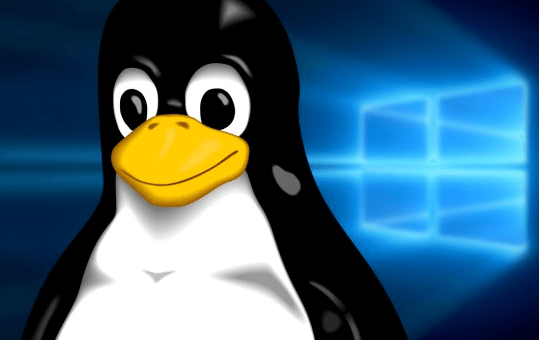 Les malwares sous Linux, principalement sur les serveurs Web et les objets connectés, sont en augmentation; ils représentent 36% des menaces ciblant les PME.