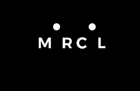 Publicis Groupe entend se transformer en plateforme. Marcel, la plateforme d’intelligence artificielle, connectera l’ensemble des 80 000 collaborateurs à travers le monde. Ils pourront ainsi échanger et collaborer, par voix ou par texte.